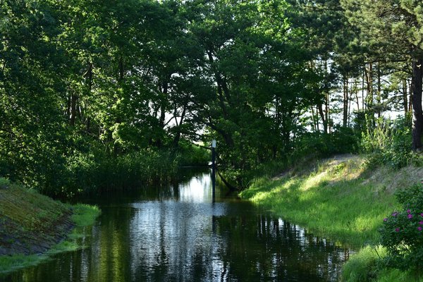 Comment enlever le goût du chlore dans votre eau facilement ?