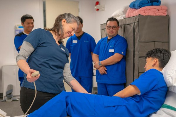 Guide complet des fleurs de cbd bio de le chanvre du griffoul